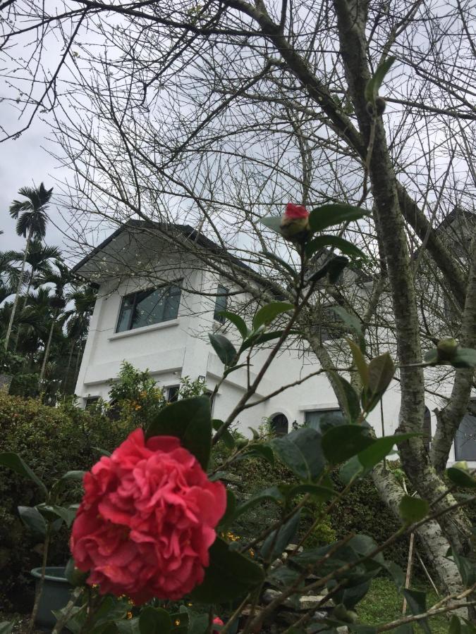 Wenlan 吾居吾素旅馆 外观 照片